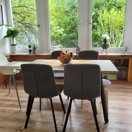 Family Apartment Linz Wohnen Mit Garten Am Fusse Des Poestlingbergs Top Lage Villenviertel Екстериор снимка